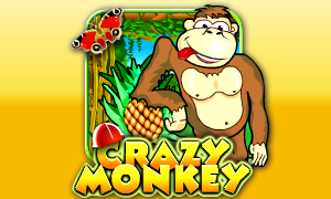 Правила игры в игровой автомат Вулкан — Crazy Monkey